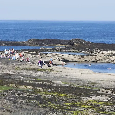 Homes Type B By Trident Homes