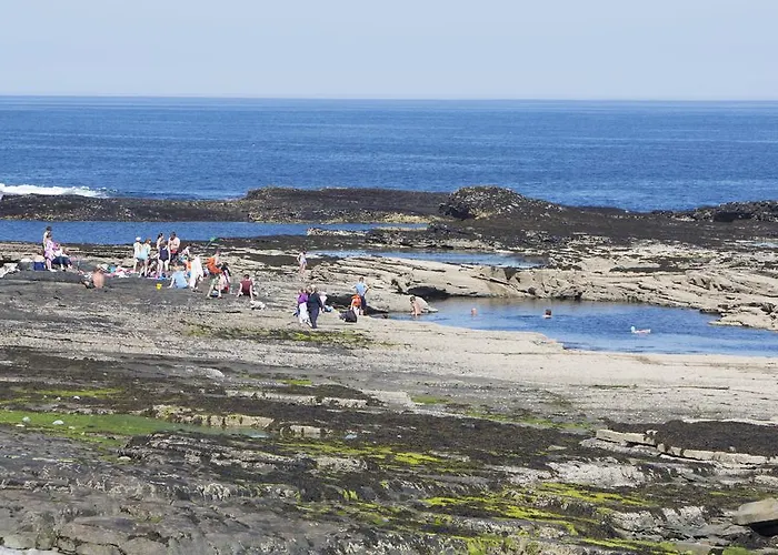 Homes Type B By Trident Homes